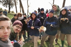 fbt