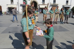 IMG_8183 (Grande)