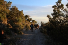 IMG_5451 (Grande)